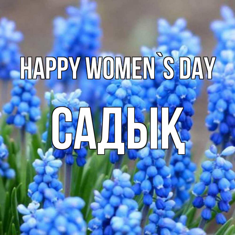 Greetings card с именем, САДЫҚ happy women`s day Поздравительная открытка для женщин с цветами на праздничную дату Greetings with text for free download 